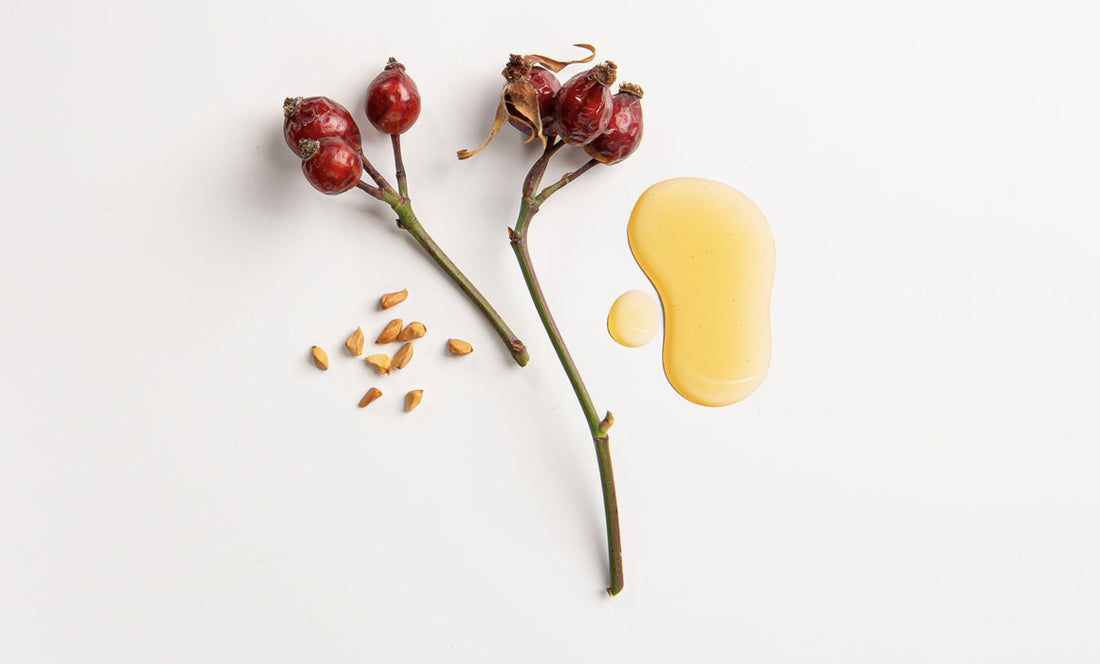 Benefits of Rosehip Seed Oil