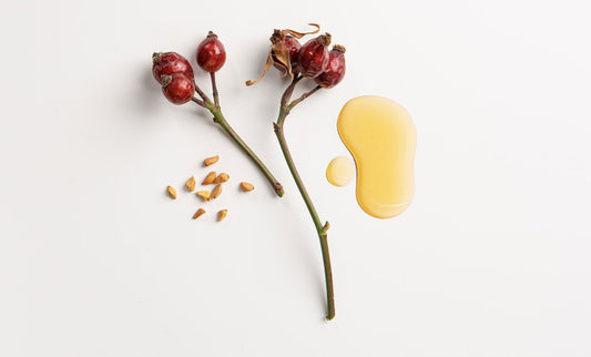 Benefits of Rosehip Seed Oil